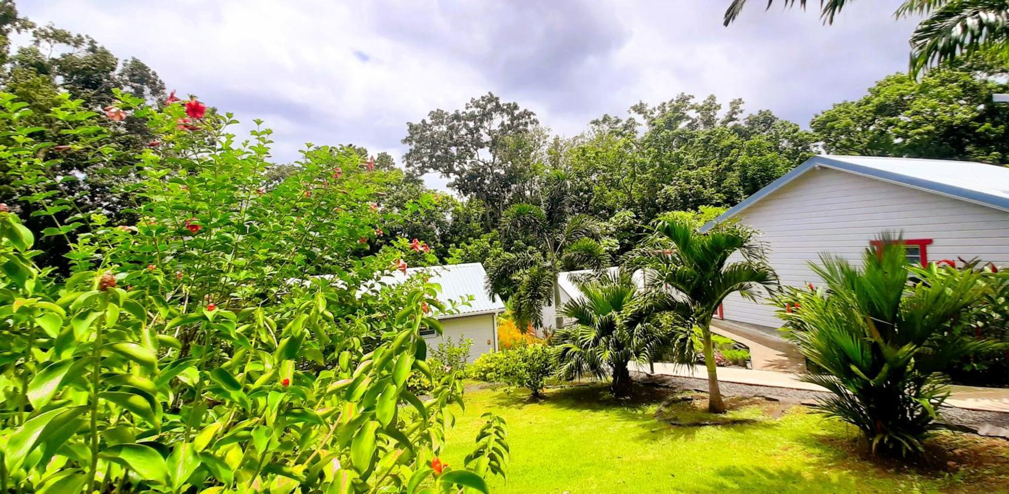 Caraibes Cottage Grenat Piscine Privee 900M De Grande Anse Deshaies Exterior photo